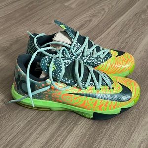 Kd 6 Liger